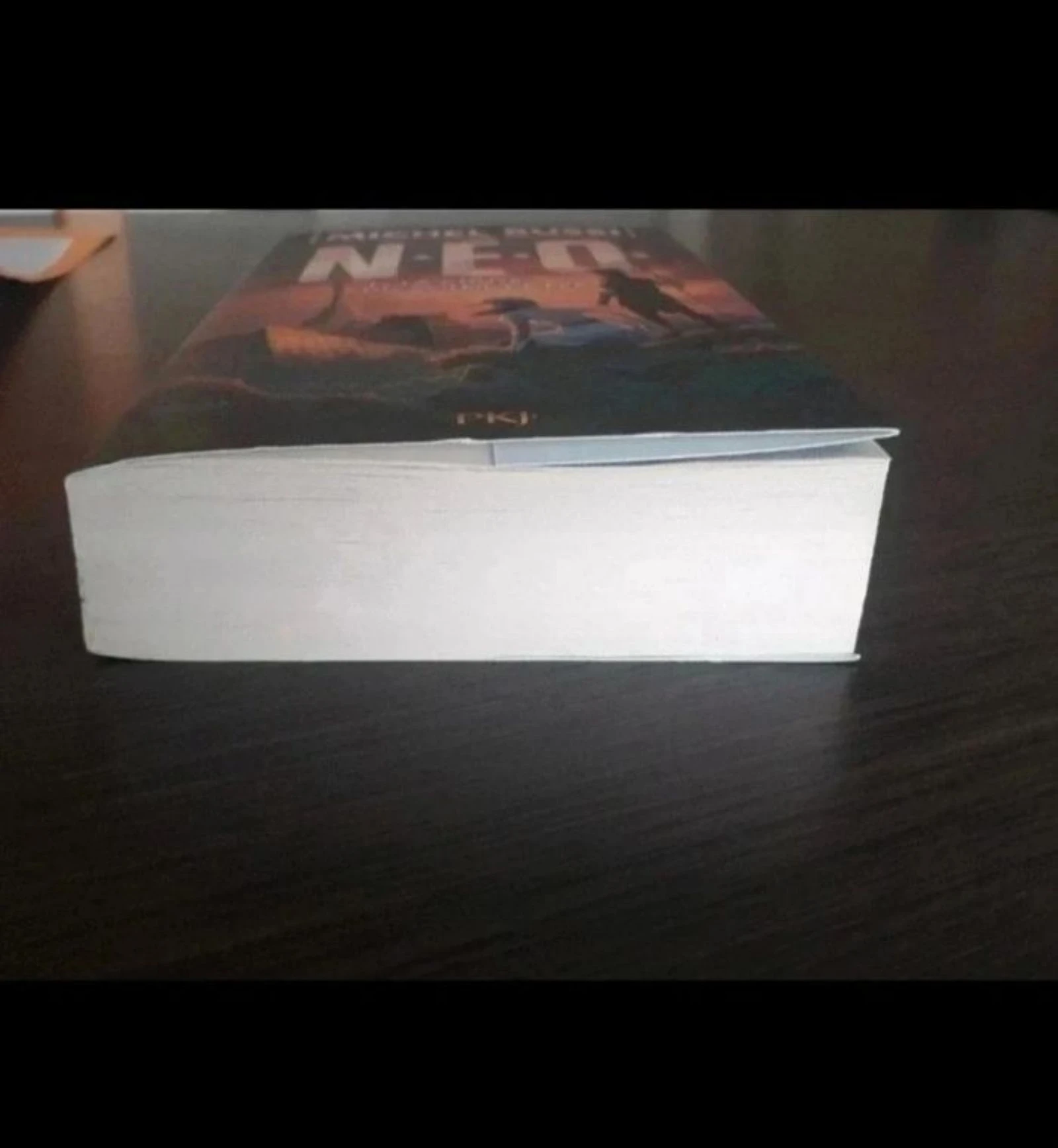 NEO – photo 4
